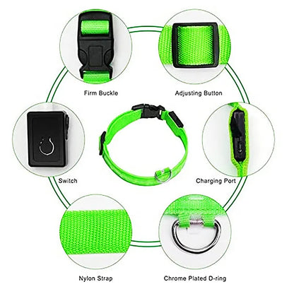 Adjustable LED Flashing Dog Collar
