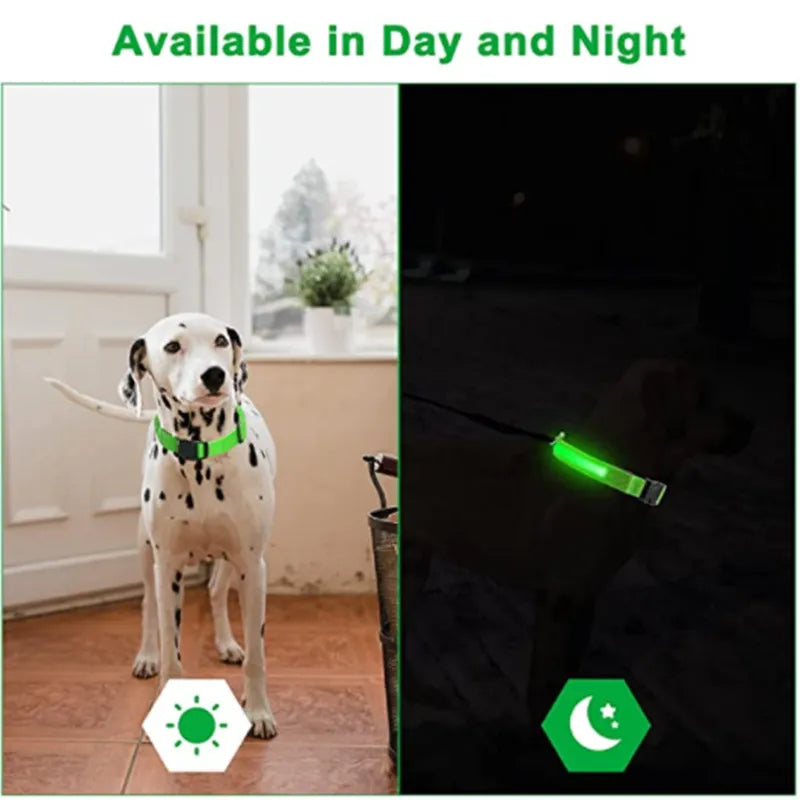 Adjustable LED Flashing Dog Collar